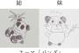 【姉妹】SKE48浅井裕華と漫画家ときわ藍が描いた絵を比べてみた