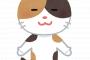 【画像】お前ら猫買え、毎朝楽しくなるぞｗｗｗｗｗ