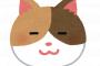 【悲報】中川翔子、見ず知らずの他人の猫を自分の猫と偽ってTwitterに載せてしまう