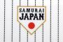 【悲報】U18日本対香港戦、ひどすぎる