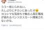 【悲報】星のカービィの声優さん、痴漢にあってしまう