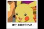 ポケモン界で立ちそうなスレ 	