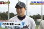 根尾世代の中学BIG3「根尾、万波、小野寺」 	