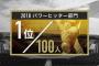 プロ野球選手100人に聞いた　パワーヒッター部門2018