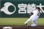 【動画】井端コーチ絶賛　巨人・吉川尚の守備wwwwx