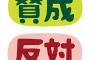 南青山住民さん「クッソ、説明会で正論言っただけなのに世間にボコボコに叩かれてもうた…せや！」