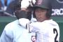 2017年の甲子園とかいう中村のホームラン記憶しかない大会 	
