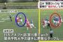 【日大アメフト部】悪質タックル、内田正人前監督と井上奨前コーチ「指示してない」警視庁が判断 	