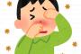 彡(●)(●)「あかん…花粉症で目クッソ痒いンゴ…でも我慢や……でも少しだけならええかな？」