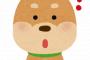 【画像あり】イッヌ「このお姉さんめっちゃ可愛い♡→結果ｗｗｗｗｗｗｗｗｗｗｗｗｗｗ