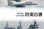 2019年版の防衛白書、韓国の重要度が2番手から4番手に変更…防衛省筋は「事実上の格下げを意味する」と明言！