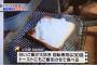 星稜奥川の好物ｗｗｗｗｗｗｗｗｗｗｗｗｗｗｗｗ 	