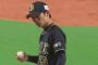 山岡泰輔　投球回数170回←これ 	