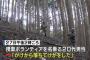 山梨・道志村のキャンプ場で7歳の女の子を捜索中、「崖から落ちてけがをした」と行方が分からなくなっていた20代ボランティア男性、2日ぶりに見つかる … 現在、病院で治療中