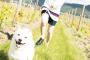 平手友梨奈、犬と笑顔で散歩するカットが公開！【週刊少年マガジン】