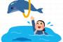 【日本すごい】京都水族館のイルカショーがヤバイ