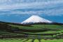 静岡県「絶対に雪降らないし飯も美味いし、海も川もある最強の県やで」