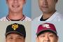 山田哲人 柳田 坂本 浅村←NPB野手四天王はこれで合ってる？