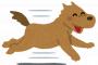 【動画あり】サッカー試合中に白い犬が乱入 華麗なドリブルを披露してしまうｗｗｗｗｗｗｗｗｗｗｗｗ