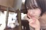 この構図・・・猫に目がいかない・・・