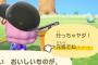 どうぶつの森で邪魔者を引越しさせるのやっと成功した