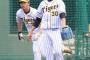 阪神石崎⇔ロッテ高野 ←このトレード