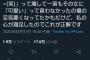 【画像】このまんさんの文章が意味不明なんやが解読してくれ