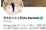 ダル「読解力ゼロのリプ見て絶望」「Twitter社は読解力テストして」