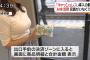 【画像】赤羽駅で映った通行人が美人すぎると話題ｗｗｗｗｗｗｗｗｗｗｗｗｗｗ