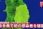 【新型コロナ】岩手県で2人の感染確認 岩手県で初 全都道府県で感染確認