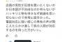 【悲報】陰キャ「バイト応募したら電話で落とされた！悔しいからレビュー荒らしてやる！」店員「…ｗｗｗｗｗｗ」