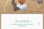 ポケモンで一番ゆるせない複合タイプ