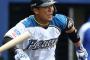 【悲報】日ハム自由契約の黒羽根が現役引退　BC栃木のバッテリーコーチ就任