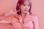 宮脇咲良の「IZOne」解散後に関心「韓国に残って」「日本で立場固めた方が良い」【IZ*ONE】