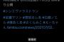 【悲報】シンエヴァさん、100億超えたくてついにVチューバーに宣伝させ始める…