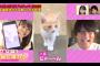 【#AKB48の大逆襲】「乃木坂に越されました。」 奇跡のコラボ！ナイツ塙×AKB48で爆笑漫才誕生！！！