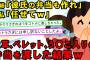 【2chスカッとスレ】コトメ「職場に持ってく弁当作れ。おかずはコレとコレで。費用？当然そっち持ちね。職場の彼と一緒に食べるから大き目の弁当箱買え」私「も～仕方ないから作るかぁ＾＾」【ゆっくり解説】