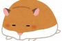 【画像】クラスの陽キャから大きなネズミを1500円で買った結果違和感がｗｗｗｗｗｗ