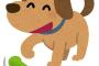夜９時過ぎに犬の散歩してて共に海に転落 犬が知らせに泳ぎ飼い主も救助されましたが、犬には感謝状なし・徳島県