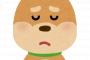 【悲報】誕生日なのに不満顔なワンコ(画像あり)ｗｗｗｗｗｗ