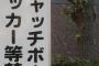 目立つ「キャッチボール禁止」の看板　少年野球元指導者の危機感！「大人がいないとできないスポーツになってしまいました」