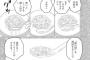 【食のこだわり漫画】お前ら炒飯をレンゲで上手くすくって食べてる？