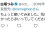 【悲報】YOASOBI絵師の古塔つみさん、ツイッターを削除して逃亡ｗｗｗｗ