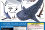 【画像】ハズレって"シュモクザメ"だよな