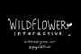 「ラストオブアス」「アンチャーテッド」シリーズの元ディレクターが新スタジオ『Wildflower Interactive』を設立！