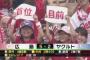 7/5カープスポニュー：先発野村７回２失点で約２ヶ月ぶり４勝目、シア・新井・エルの中軸爆発３回一挙５得点　カープ４月１日以来のAクラス浮上で首位目前！（広５対２ヤ）