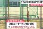 尼崎高校硬式野球部でコーチが『サイン盗み』を選手に指示、選手はうつ状態になる