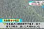 【悲報】今年の花粉症、ガチでヤバすぎる