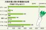 【悲報】大根、ほとんど葉の部分に栄養を吸い取られていた