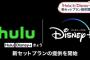 HuluとDisney+がセットプラン開始　月額1490円で両コンテンツ見放題 